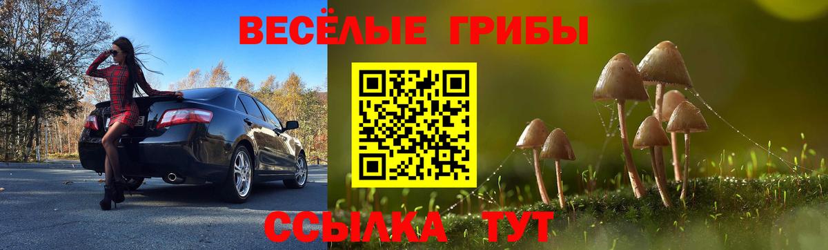 Галлюциногенные грибы GOLDEN TEACHER  Вход с VPN  Екатеринбург 
